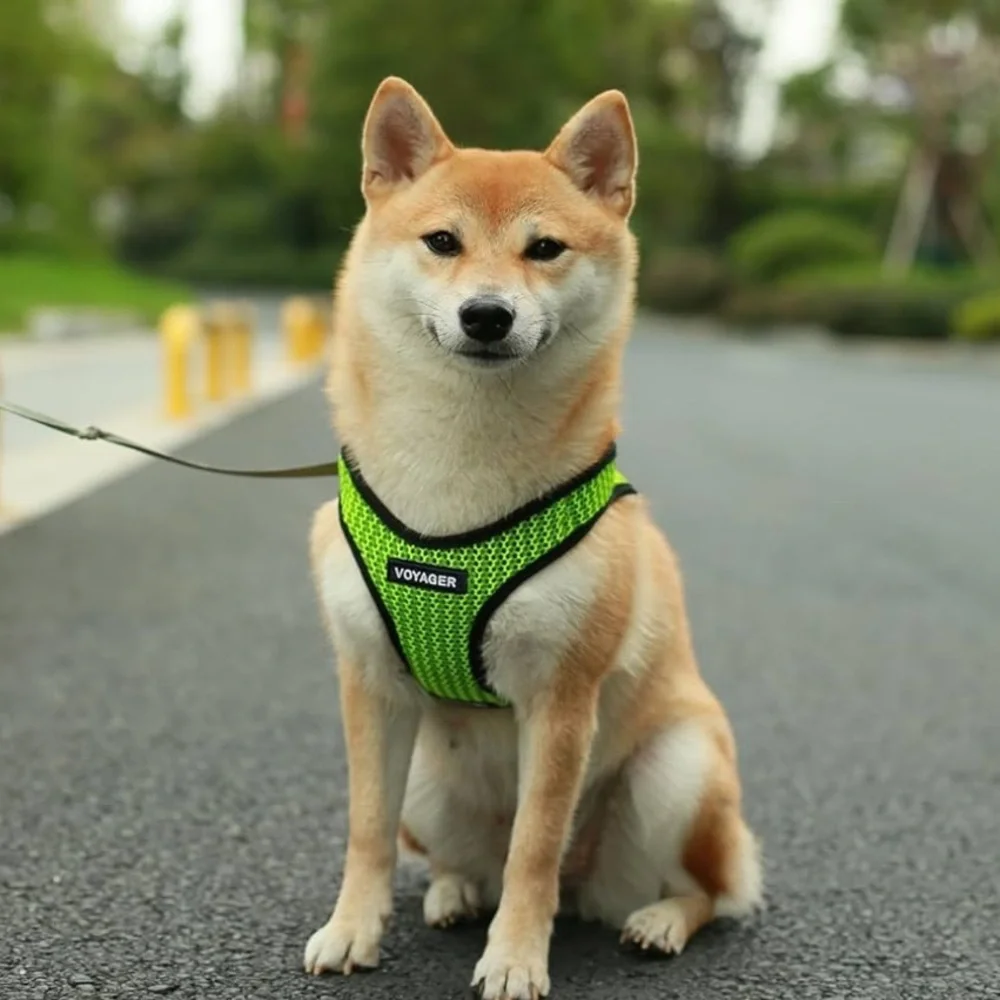 Voyager Green and Black Dog Harness SZ L